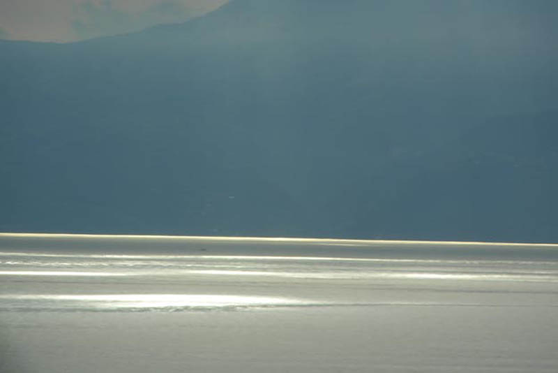 miroslavVajdic (133)